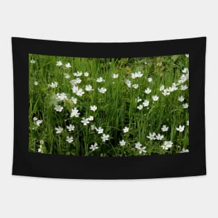 Wild Anemones Tapestry