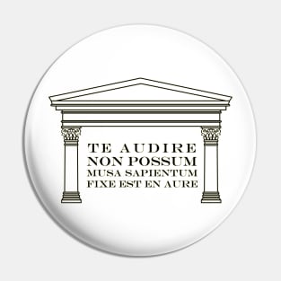 Te audire non possum - funny Latin saying Pin