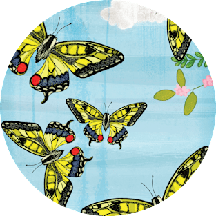 Butterflies Magnet