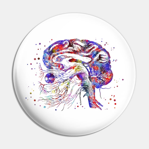 Brain cranial nerves Pin by RosaliArt