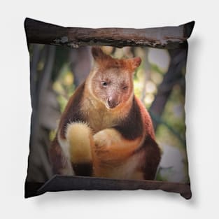 Tree Kangaroo Pillow