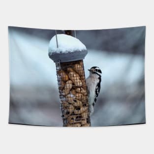 Winter Downy Woodpecker Peanut Bird Feeder Tapestry