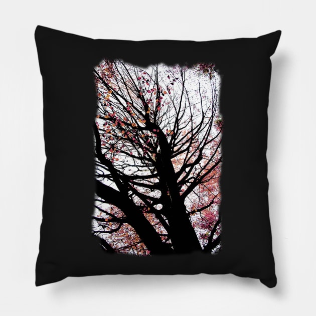 fall Pillow by augenWerk