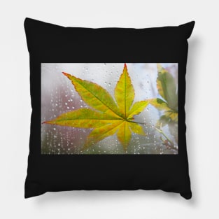 Maple Leaf in Autumn Day Pillow