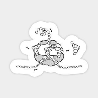 Ribosome Cross Section Microbiology Line Drawing Magnet