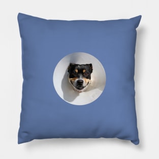 Smiling dog Pillow