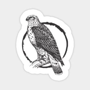 Hawk Hunter Magnet