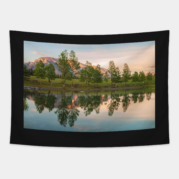 Quarry Lake Tapestry by jvnimages