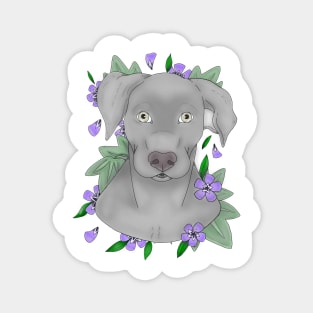 Silver lab Magnet