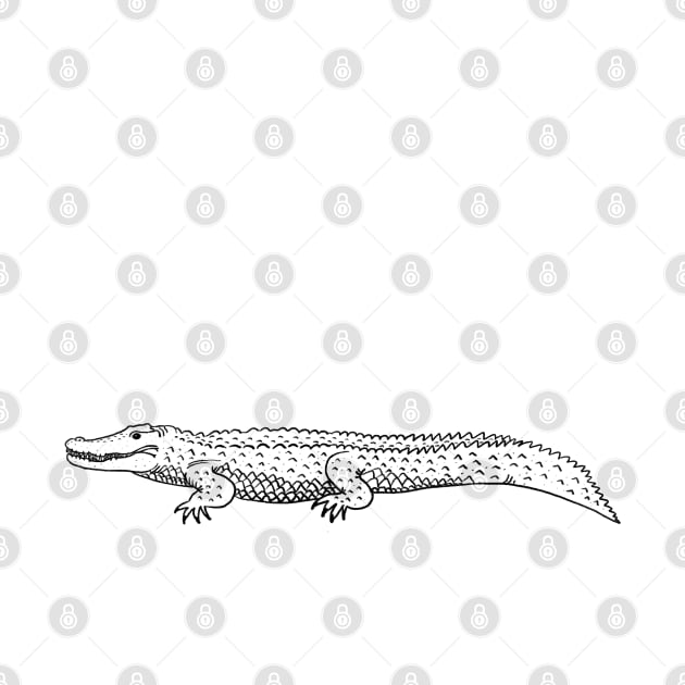 Saltwater Crocodile by wanungara
