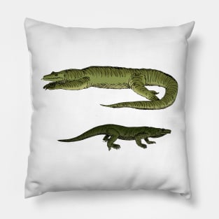 Megalania Pillow