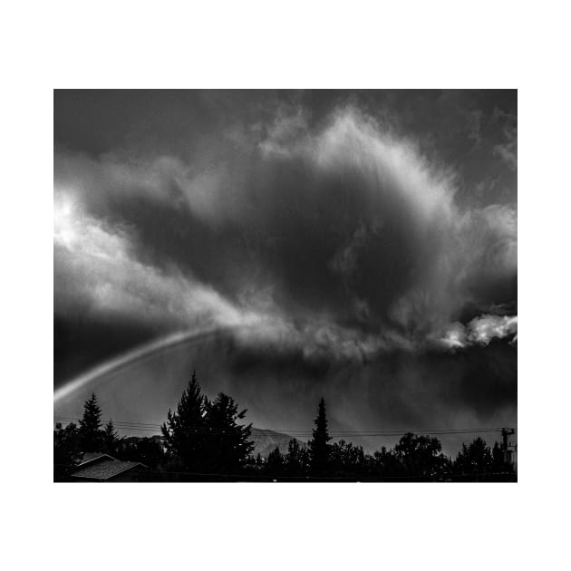 Black and White Rainbow by StevenElliot