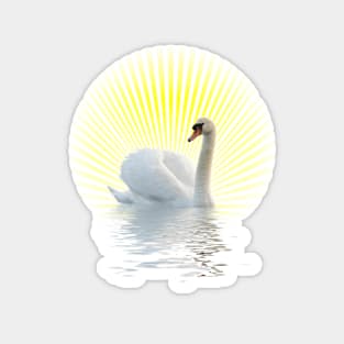 White Swan Magnet