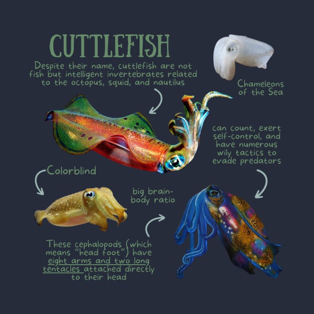 Animal Facts - Cuttlefish by Animal Facts and Trivias