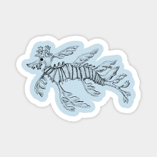 Sea Dragon Magnet