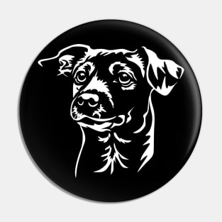 Jack Russell Dog Dogs - Jack Russell Head Pin