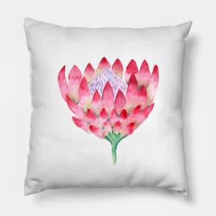 Watercolor Large Floral Proteas Pillow