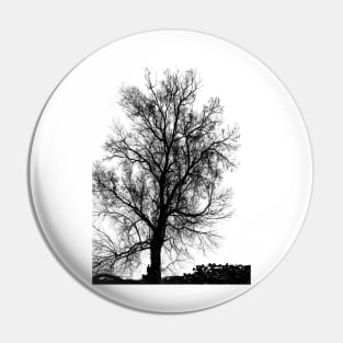 Silhouette of bare tree - black and white Pin