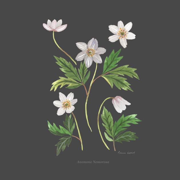 Wood Anemone Gouache by Rebelform