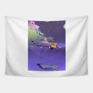 Guppies Tapestry