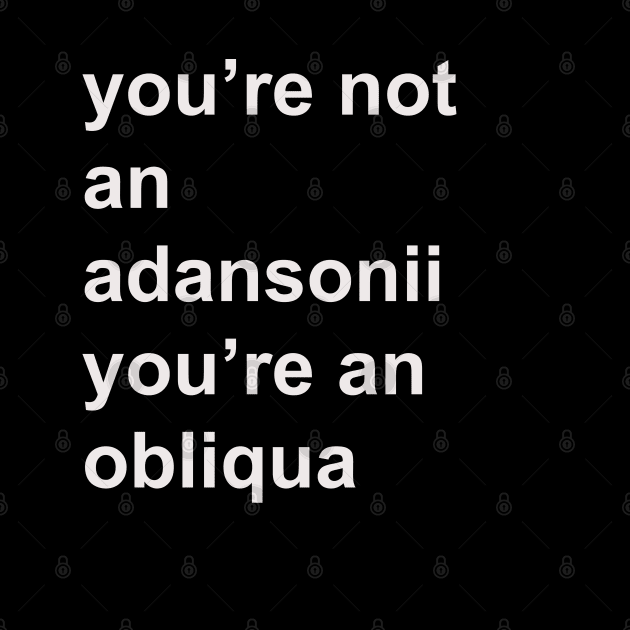 You're not an adansonii you're an obliqua by HousePlantHobbyist