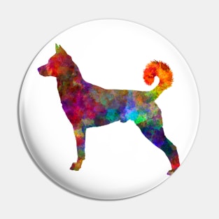 canaan dog in watercolor Pin