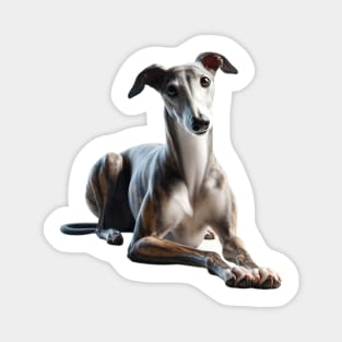 Greyhound Magnet