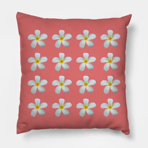 White Frangipani Flowers with pink background | Australian tropical flowers Pillow by LindsayMarieDesign