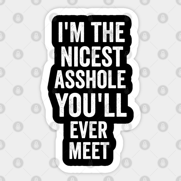 i'm the nicest asshole you will ever meet - Funnytee - Sticker