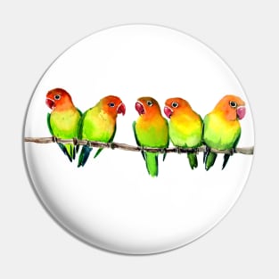 Love birds Pin