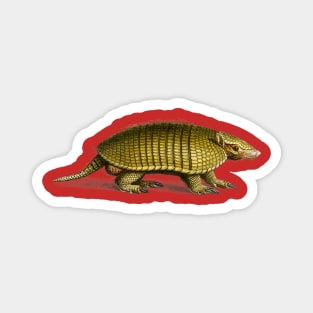 Vintage yellow armadillo Magnet