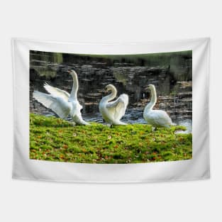 Three White Swans art - Follow the Leader Tapestry