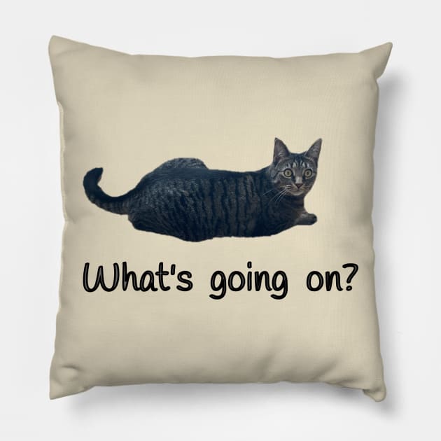 What’s Going On? (Kitty) Pillow by Amanda1775