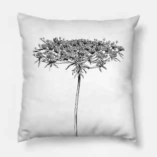 Queen Anne Lace Drawing Pillow