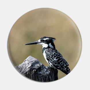 Pied Kingfisher Pin