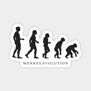 Monkey Evolution Magnet