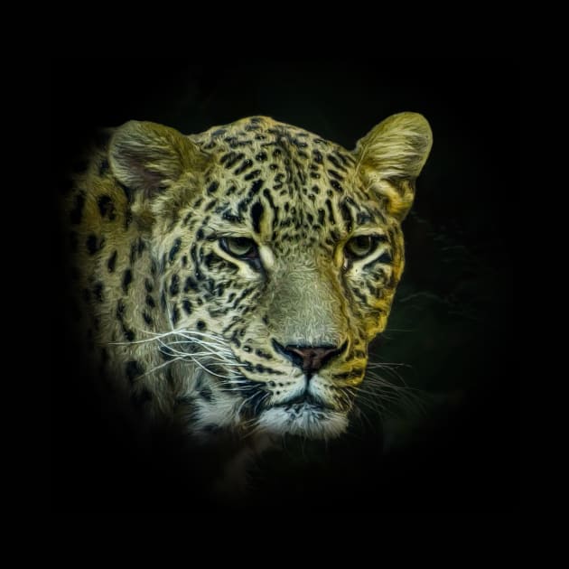 Leopard by Guardi