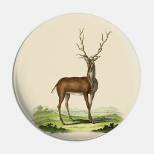 Deer Nature Illustration Pin