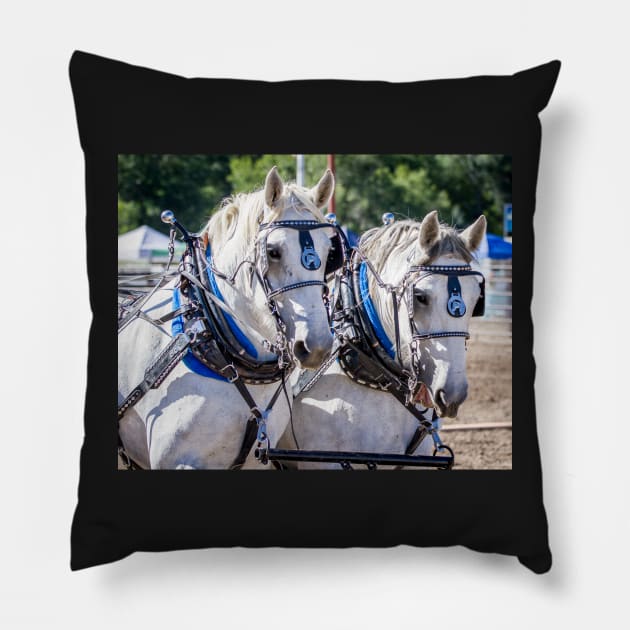 Draft Horse Pillow by 3QuartersToday