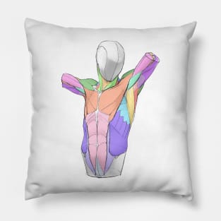 human body anatomy 5 Pillow