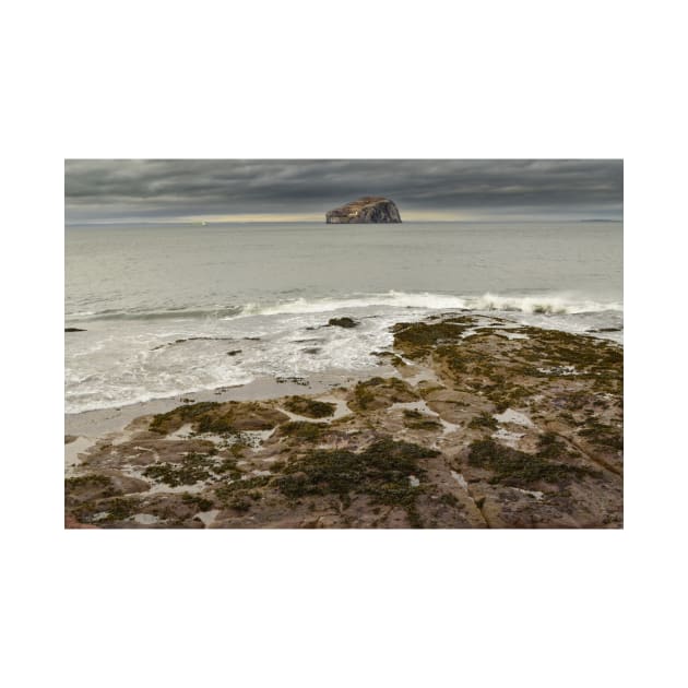 Bass Rock by StephenJSmith