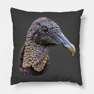 Head of a Black Vulture Pillow