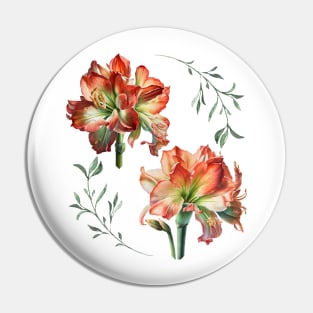 Amaryllis Blooms Pin