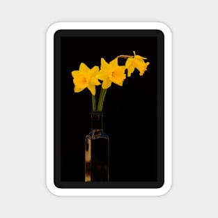 Daffodils 2 Magnet