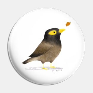 Myna Bird with a leaf Pin