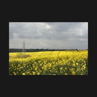 Rapeseed fields in Essex T-Shirt