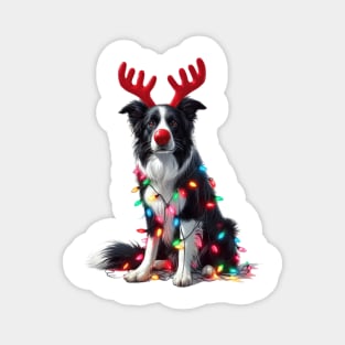 Christmas Red Nose Border Collie Dog Magnet