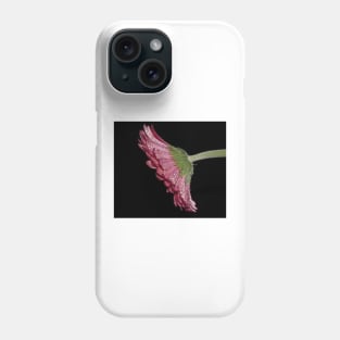 Pink Gerbera Daisy Phone Case