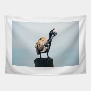 Cleaning Pelican Tapestry
