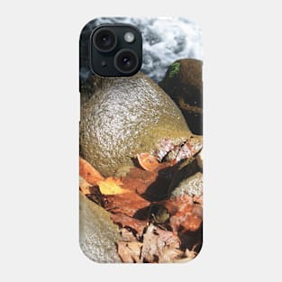 Leaves and stones Phone Case